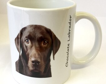 Chocolate labrador | Etsy