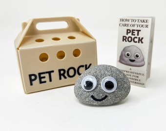 Small Pet Rock With Carry Case & Care Guide - Fun Novelty Gift For Under 10 Pounds - For Birthdays, Fathers / Mothers Day etc