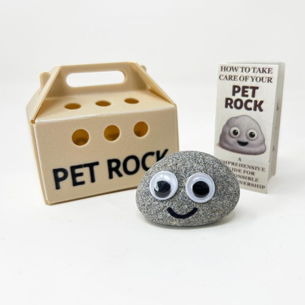 Small Pet Rock With Carry Case & Care Guide - Fun Novelty Gift For Under 10 Pounds - For Birthdays, Fathers / Mothers Day etc