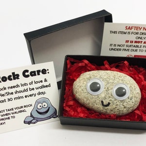 Pet Rock Funny Novelty Gift Ideas Ideal for Birthday Presents