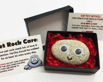 Pet Rock ® - Funny Novelty Gift Ideas - Ideal For Birthday Presents, Wedding Favours, Party Bags