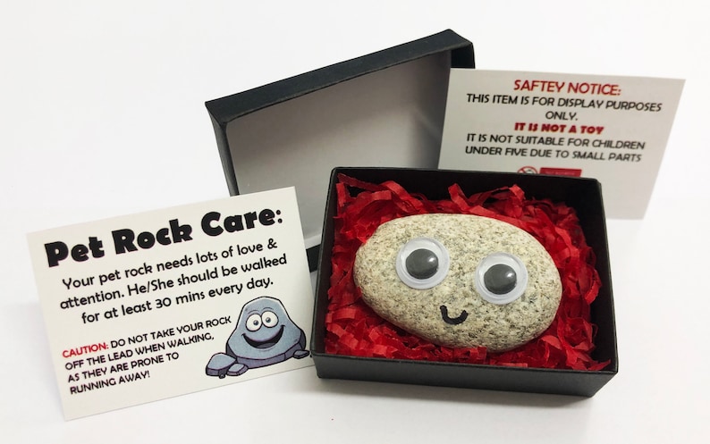 Pet Rock \u00ae - Funny Novelty Gift Ideas - Ideal For Birthday Presents, Wedding Favours, Party Bags