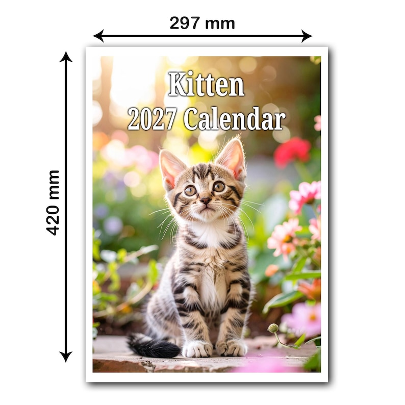 以下が含まれることがあります： 屋外に座る茶色のトラ猫の子猫が写ったKitten 2027カレンダー。カレンダーのサイズは297mm x 420mmです。上部にKitten 2027 Calendarという文字が印刷されています。子猫には暗い縞模様があり、胸には白い毛が生えています。