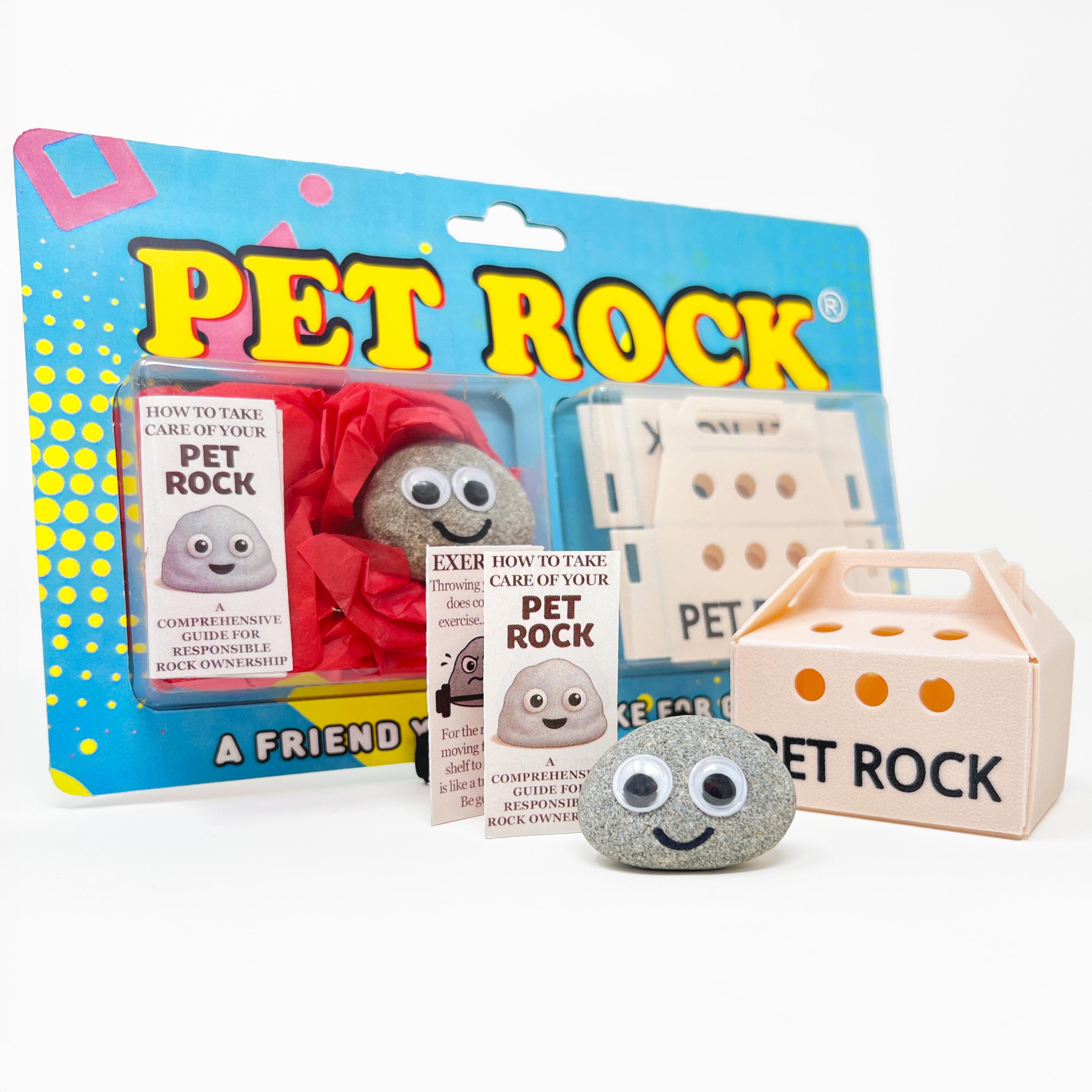 Small Pet Rock With Carry Case & Care Guide - Fun Novelty Gift For 