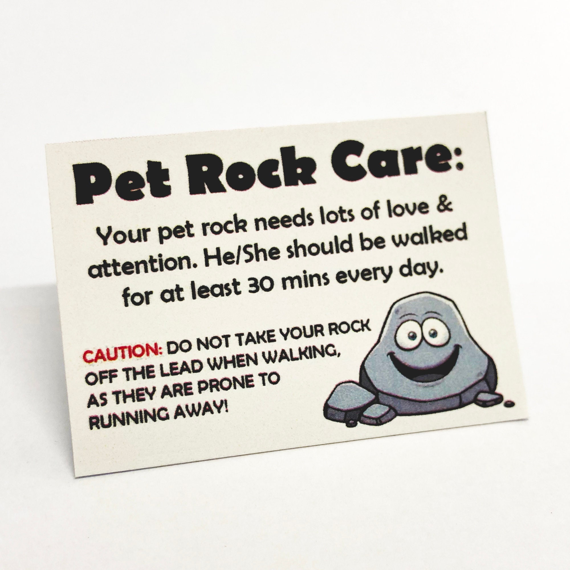 Pet Rock ® Funny Novelty Gift Ideas Ideal for Birthday Presents, Wedding  Favours, Party Bags 