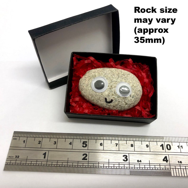 Pet Rock ® Funny Novelty Gift Ideas Ideal for Birthday Etsy