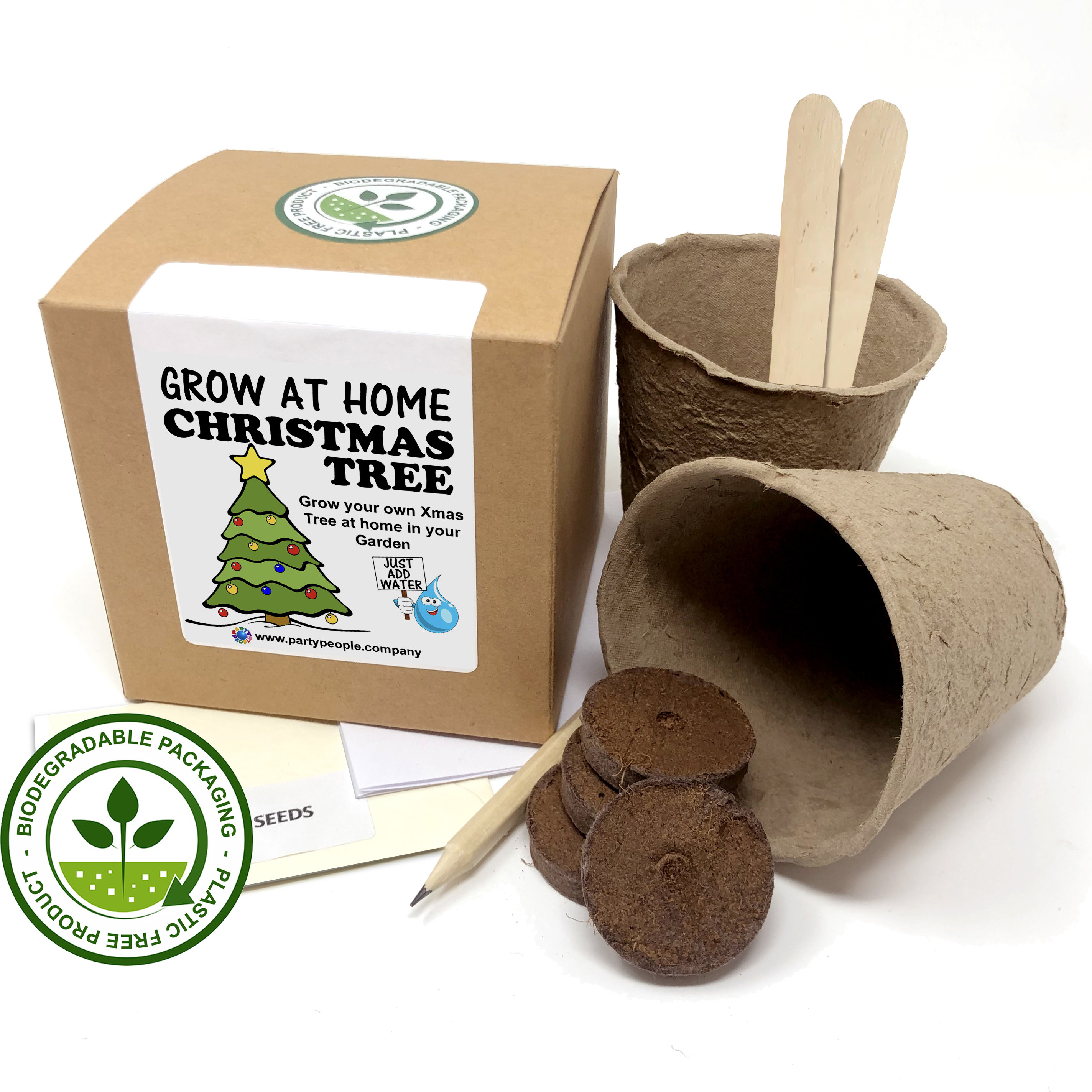 Grow Your Own Christmas Tree douglas Fir Kit at Home Ideal Etsy UK