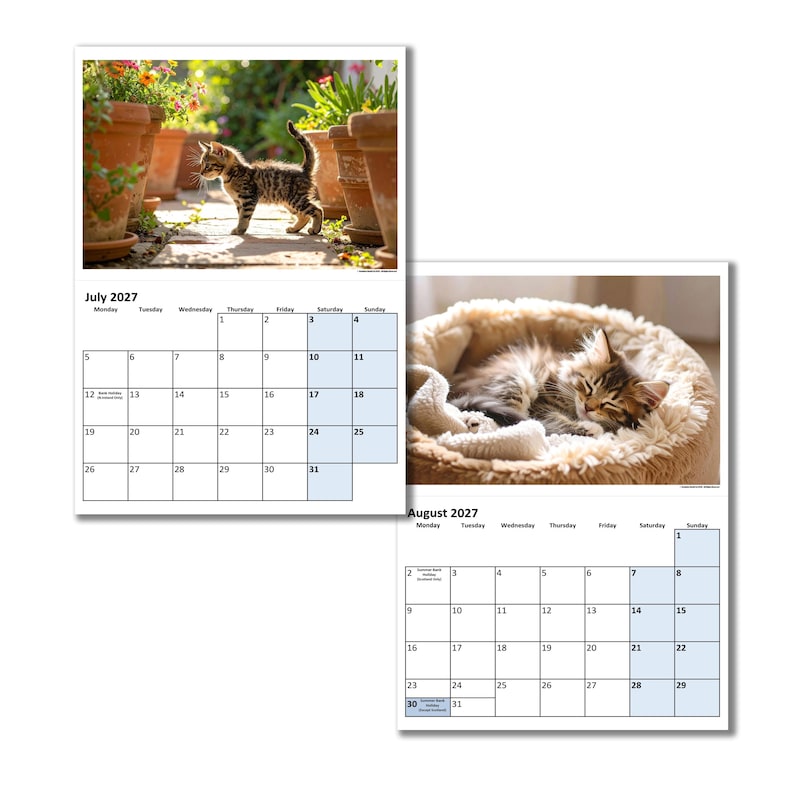 Kittens Calendar – A3 or A4 Wall Calendar – Choice of Sizes – Cat Lovers Monthly Planner 2027 画像 8