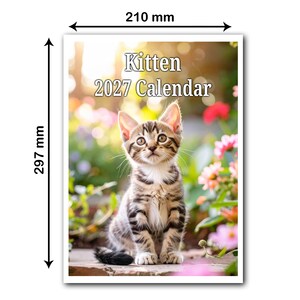 以下が含まれることがあります： 屋外に座る茶色のトラ猫の子猫が描かれた2027年の長方形カレンダー。上部に「Kitten 2027 Calendar」の文字。寸法矢印は、印刷されたカレンダーページの幅210mm、高さ297mmを示しています。