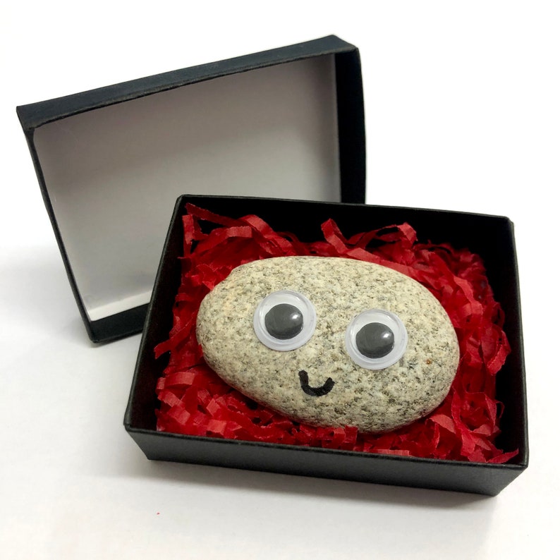 Pet Rock ® Funny Novelty Gift Ideas Ideal for Birthday Etsy