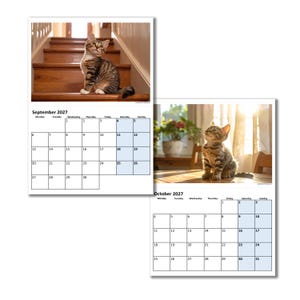 以下が含まれることがあります： 2027年の壁掛けカレンダー。茶色のトラ猫の子猫の写真が2ページ分掲載されています。9月のページには木製の階段にいる子猫が、10月のページには日光の当たるテーブルの上に座っている子猫が写っています。