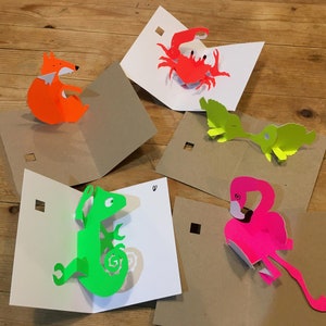 Fluro-animaux, paquet de 5 cartes pop-up