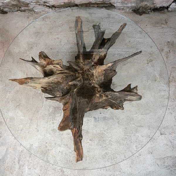 Designer coffee table - root wood, oak, glass top, root table