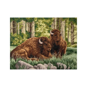 May include: Two brown bison resting in a green forest setting. The bison are lying down and looking at each other. The forest is lush and green with tall trees.