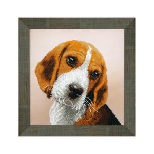 Op de afbeelding: Een close-up van een beagle puppy met bruine, witte en zwarte vacht. De puppy kijkt met zijn hoofd schuin naar de camera. De puppy is ingelijst in een bruin houten frame.