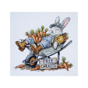 DIY Counted Cross Stitch Kit &quot;Free carrots &quot;, Embroidery kit, Home decor, Abris Art A34