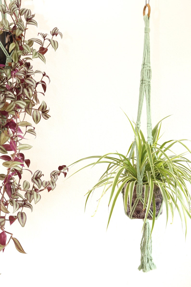 Long Eucalyptus Green 100 Recycled Cotton Indoor Macrame Plant Hanger Pot Holder Hanging Planter Suitable For High Ceilings