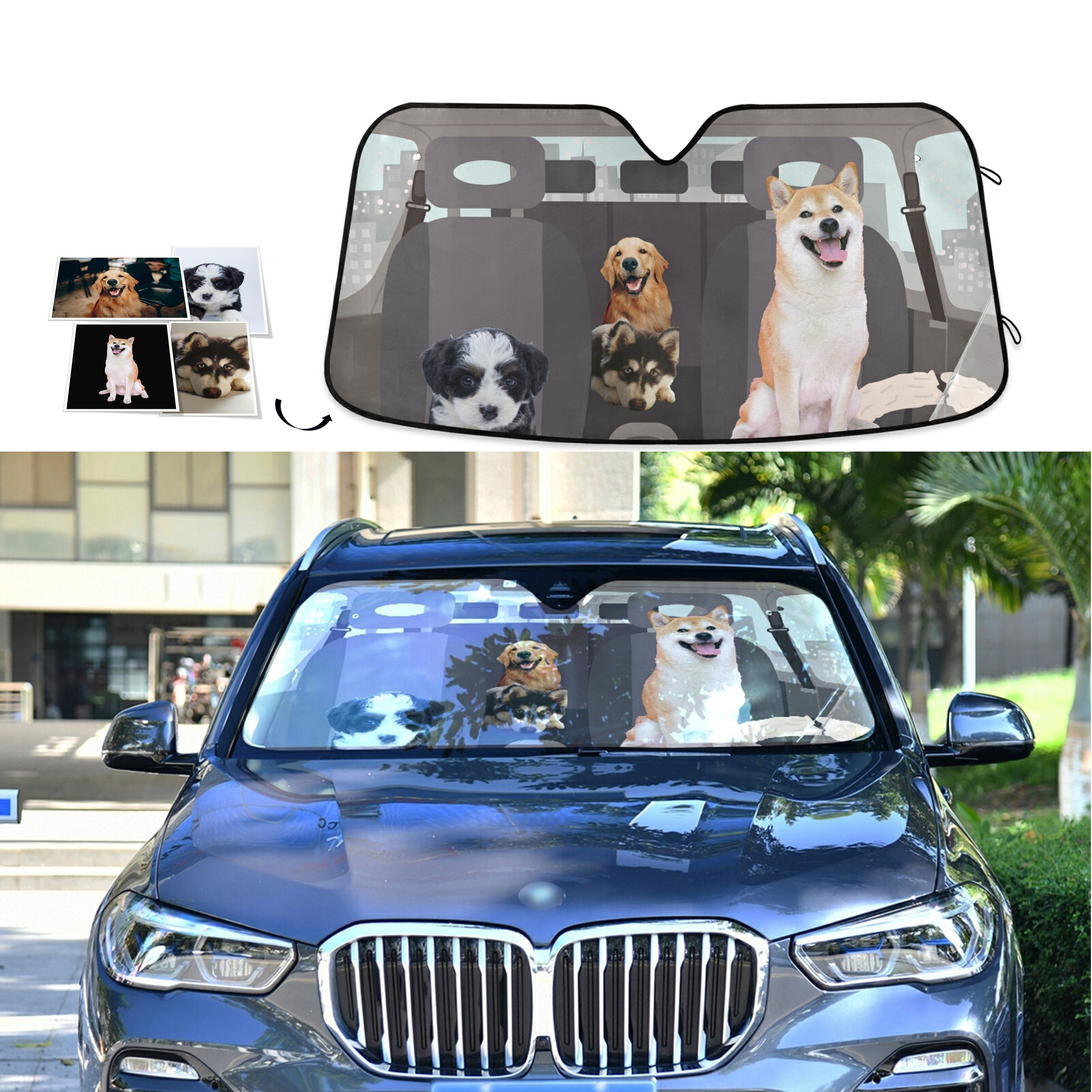 Windshield sale visor custom