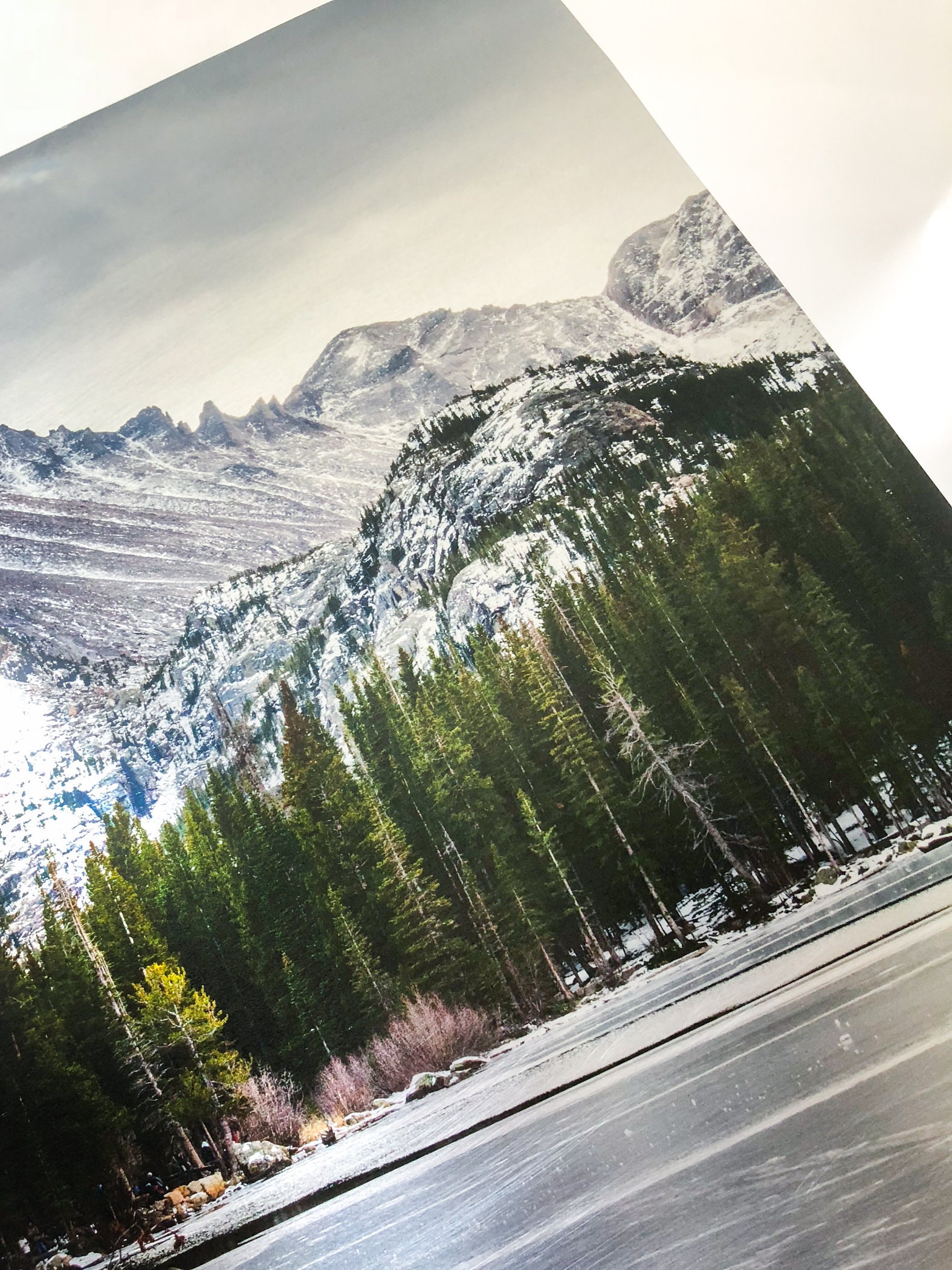 Custom Metal Print Print on Metal Metal Prints Custom Photo Etsy