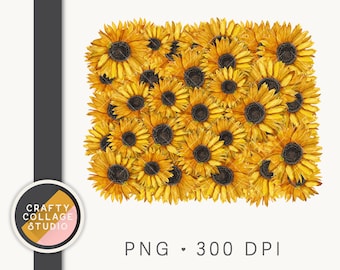 Sunflower Background PNG for Sublimation, Flower Backsplash Sublimation Design, DTG Printing Print File, Commercial Use PNG Instant Download
