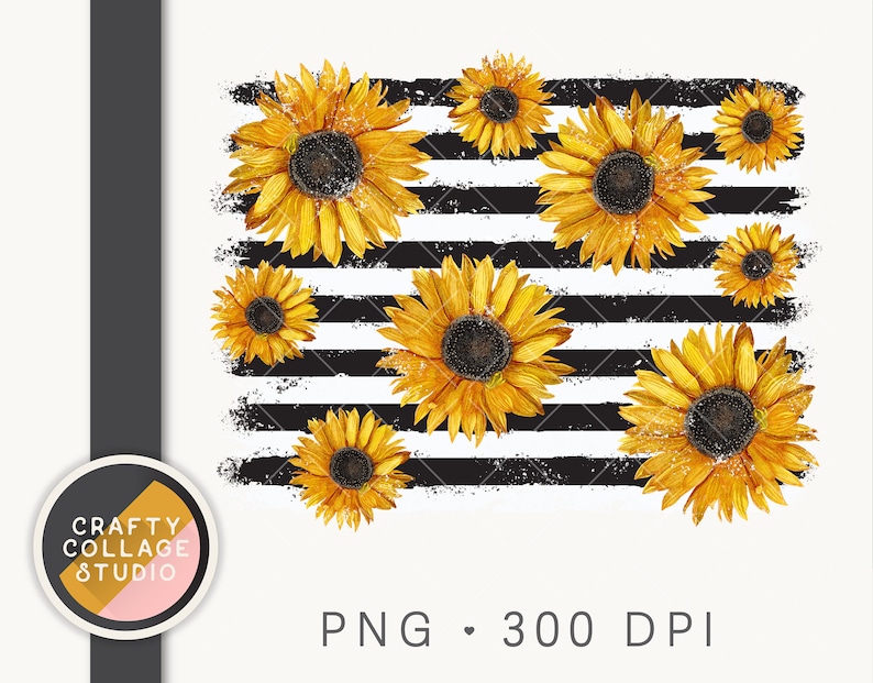 Pu&ograve; includere: Un'illustrazione digitale di girasoli gialli su uno sfondo a strisce bianche e nere. I girasoli sono disposti in modo casuale e hanno un aspetto usurato e vintage.