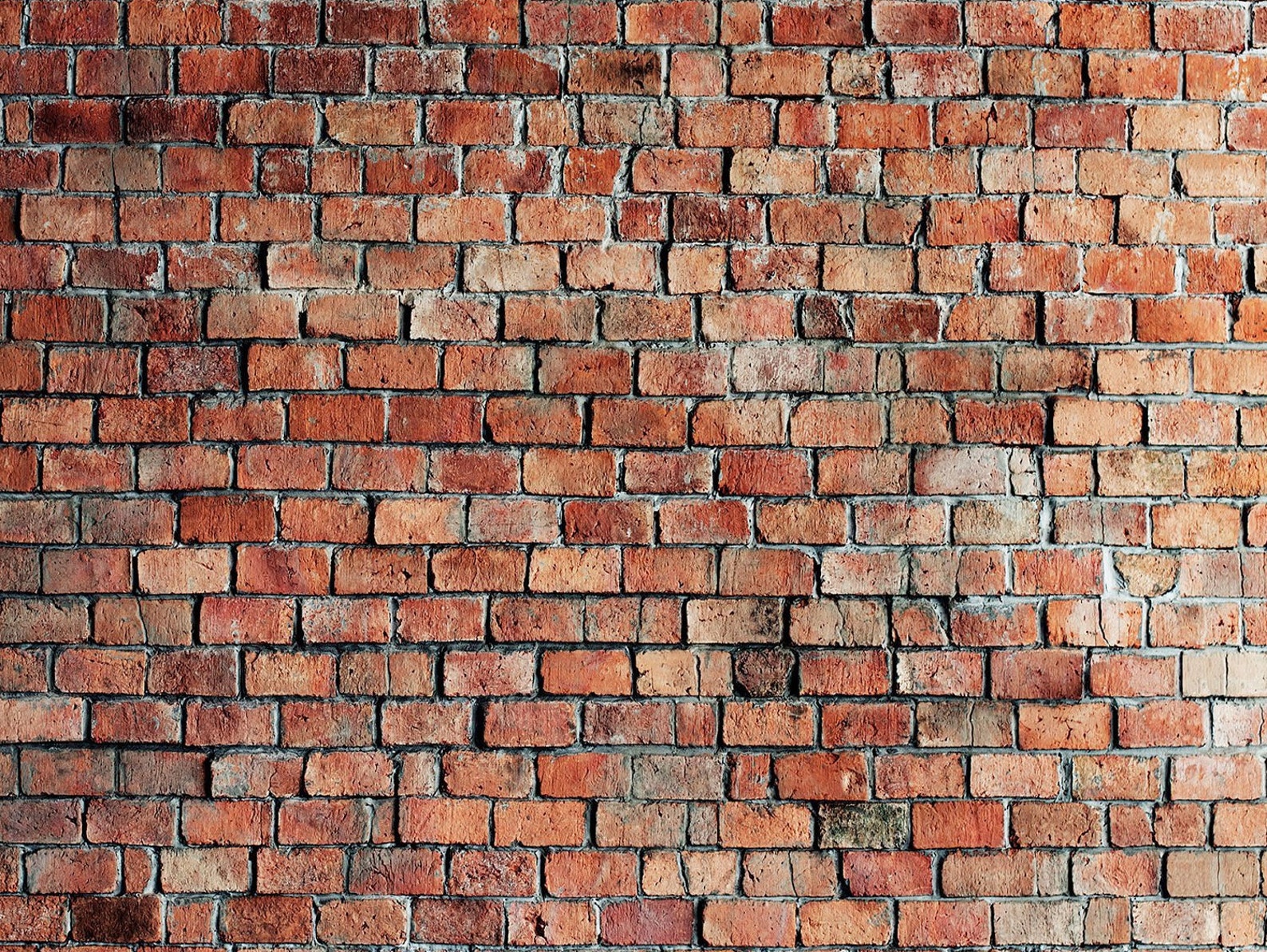 Red Brick Mural Wallpaper. Red Brick Mural. Removable and Self Etsy