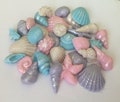 24 Edible fondant sugar paste seashells cake topper, decoration. Pale pastel Mermaid seashells
