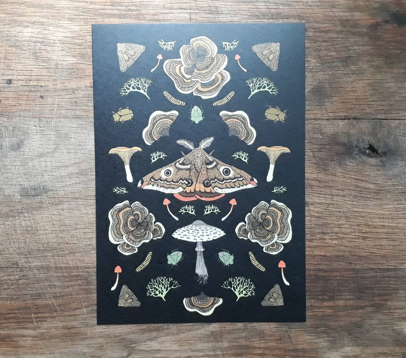 Moths & Mushrooms wall art print. A5 botanical fungi  design print. G…