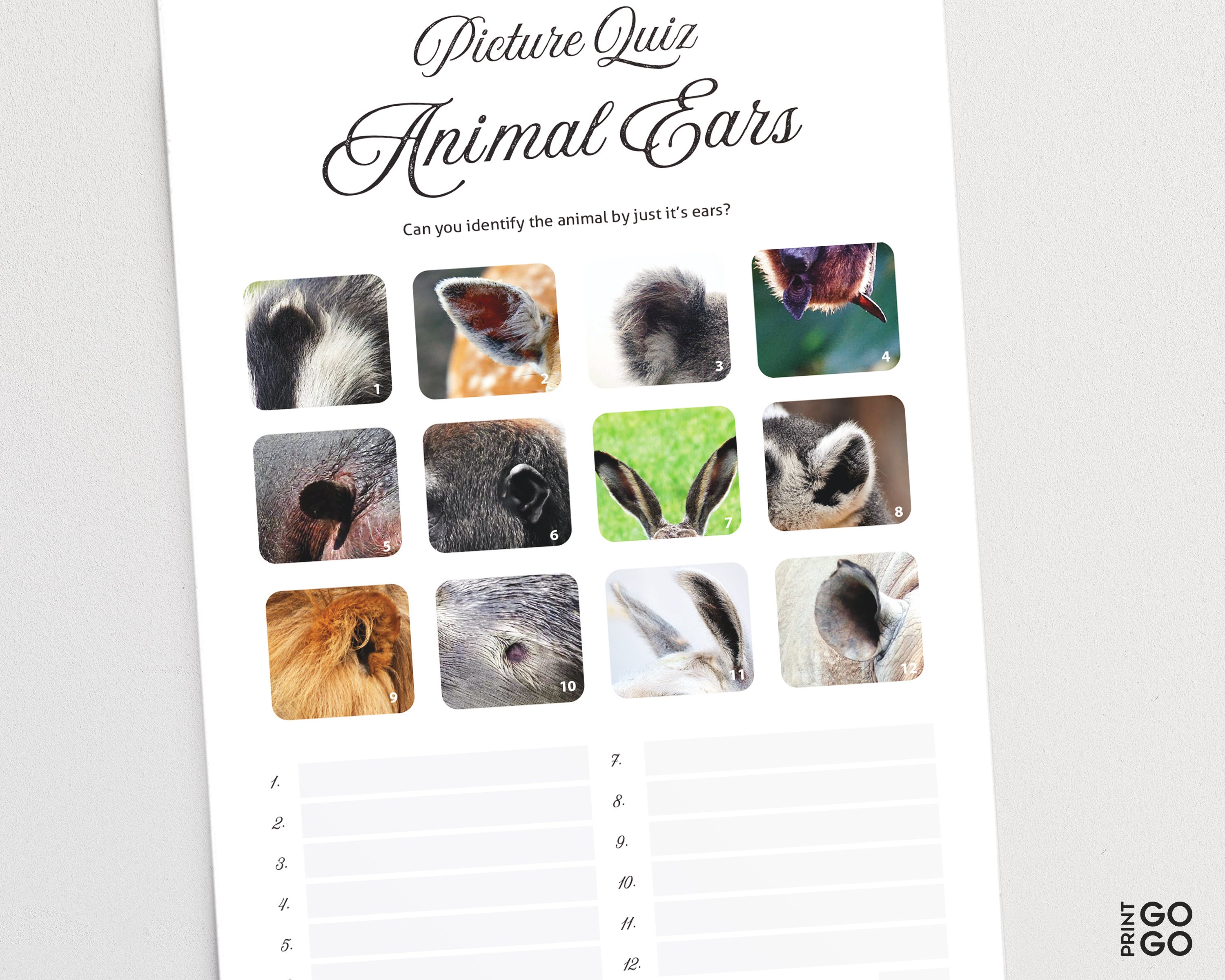 Picture Quiz Animal Ears Pub Quiz Picture Round Nature - Etsy New Zealand Picture Quiz Animal Ears Pub Quiz Picture Round Nature - Etsy New Zealand