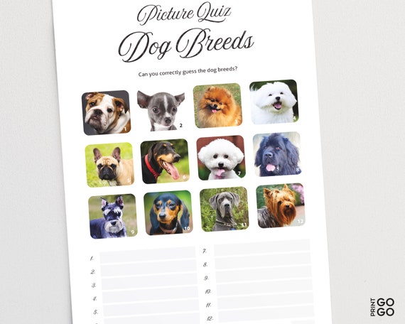 Picture Quiz Dog Breeds Pub Quiz Picture Round Animal - Etsy Picture Quiz Dog Breeds Pub Quiz Picture Round Animal - Etsy