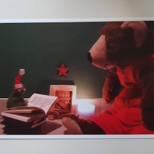 FotoPostkarte BÄR