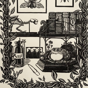 Naturalist cabinet - linocut print