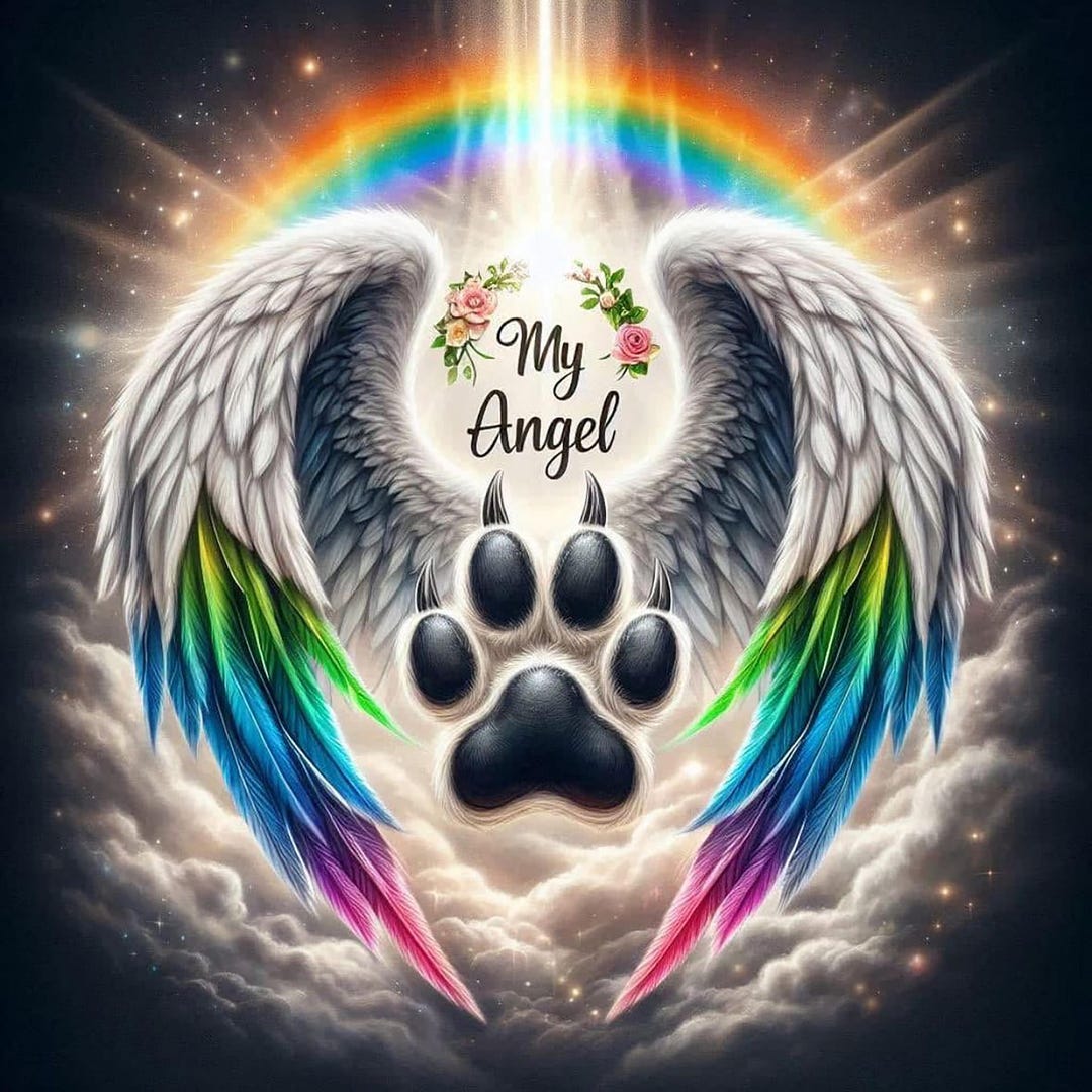 May Angel Has Paws PNG, Digital Download (4000x4000 Px) - Etsy
