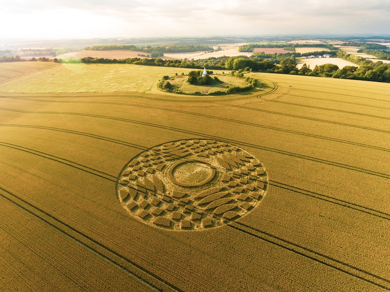 Farley Mount Crop Circle Winchester, UK image 1