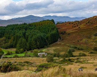 Lake District Beauty