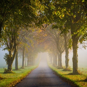 Crondall im Nebel