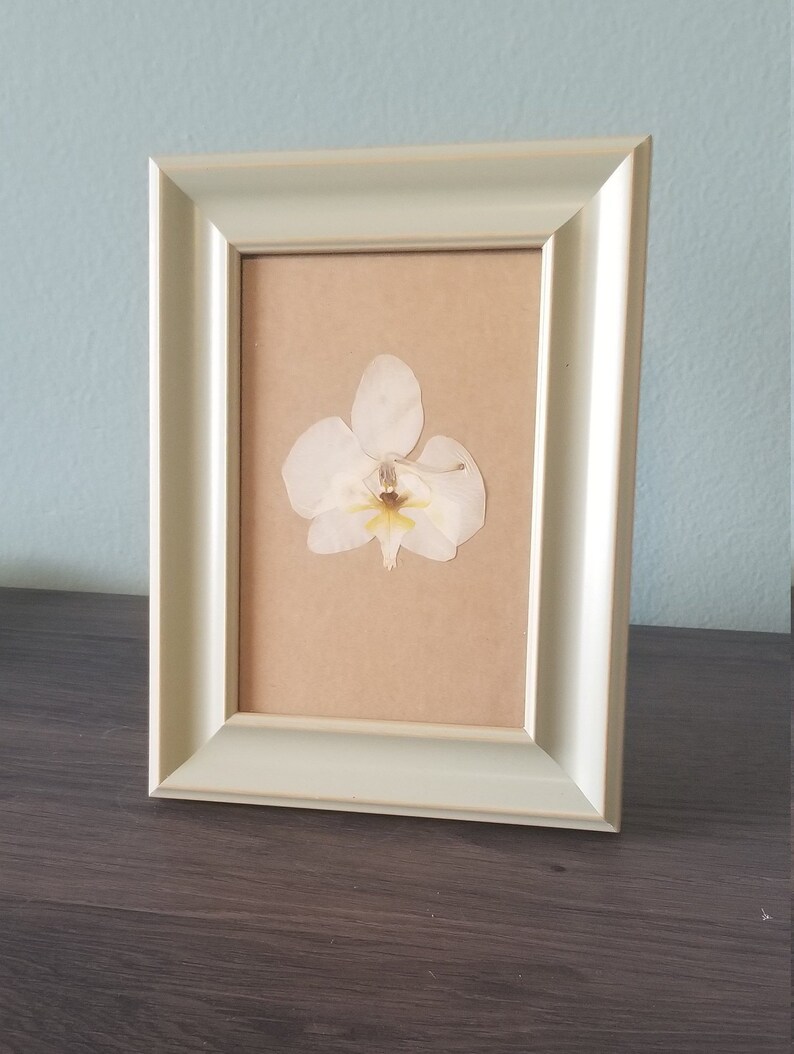dried flowers,4x6 framed orchid nursery decor handmade craft desk decor flower craft Flower art framed flowers living room decor