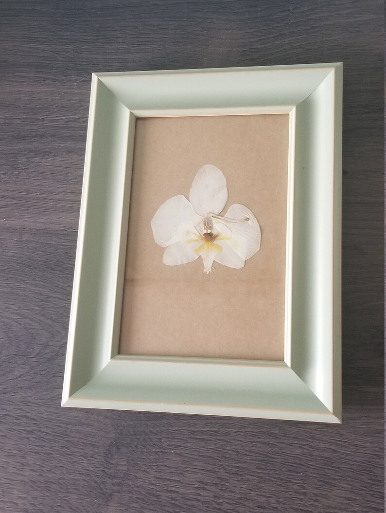dried flowers,4x6 framed orchid nursery decor handmade craft desk decor flower craft Flower art framed flowers living room decor