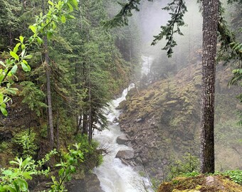 Cascada salvaje