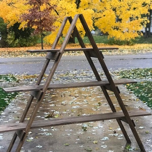 5ft Wooden Ladder Shelf