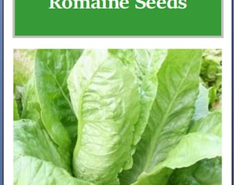 Parris Island Romaine Seeds: Non-GMO Heirloom Garden Seeds