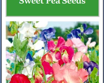 Early Multiflora Mix Sweet Pea Seeds | NON-GMO | Heirloom | Fresh Garden Seeds