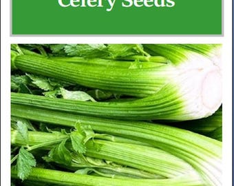Tall Utah Celery Seeds: Non-GMO Heirloom Garden Seeds