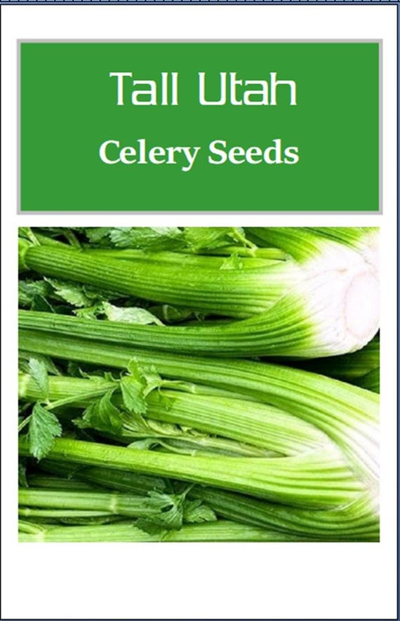 Tall Utah Celery Seeds: Non-GMO Heirloom Garden Seeds