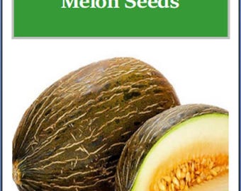 Piel de Sapo Melon Seeds | NON-GMO | Heirloom | Fresh Garden Seeds