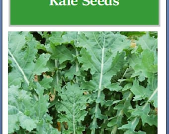 White Russian Kale Seeds | NON-GMO | Heirloom | Fresh Garden Seeds