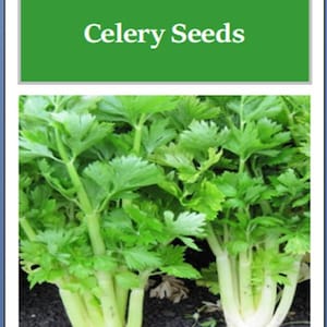 May include: Close-up of a bunch of green celery stalks with the text "Golden Celery Seeds" on a green background.