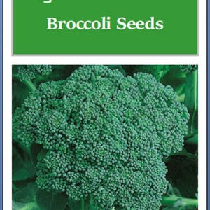 May include: Image of a head of green broccoli with the text "Organic Calabrese Broccoli Seeds" in white letters on a green background. The broccoli is a vibrant green color and is in the center of the image.