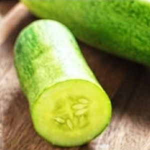 Straight Eight Cucumber Seeds | NON-GMO Cucumber Seeds | Heirloom Garden Seeds