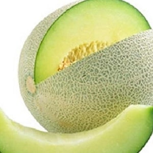Honeydew Green Melon Seeds | NON-GMO | Heirloom | Fresh Garden Seeds